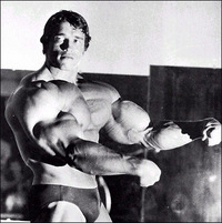 Arnold schwarzenegger big muscle